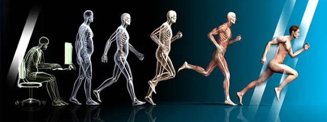 Alpha Physiotherapy Service