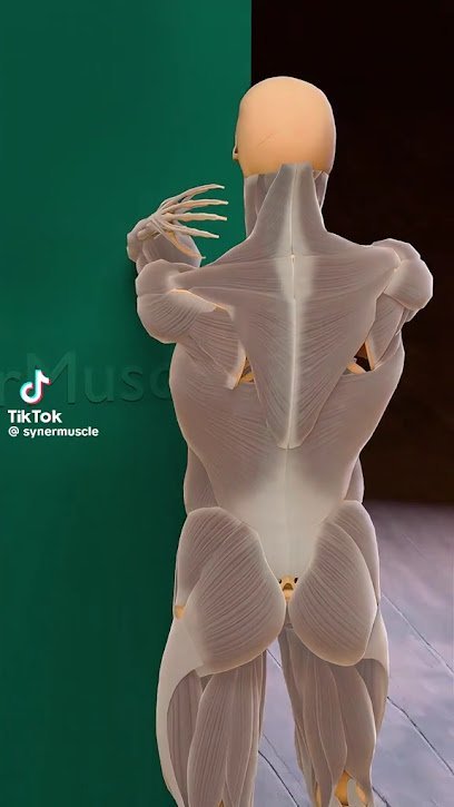 Chiragh Physiotherapy Clinic