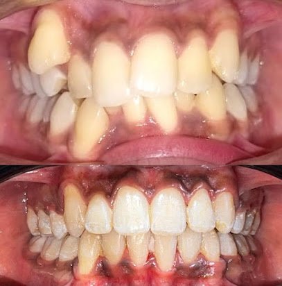 Alpha Ms Dentist