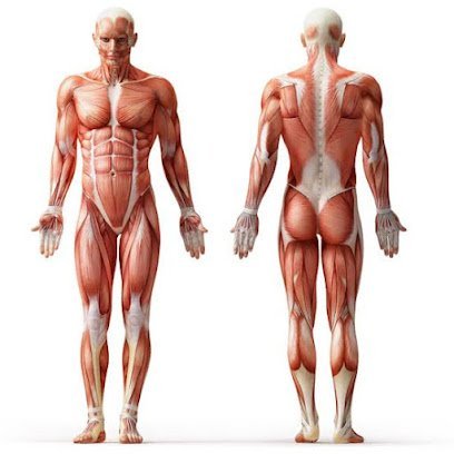 Major Dr. Nazir Hussain Physiotherapy Centre