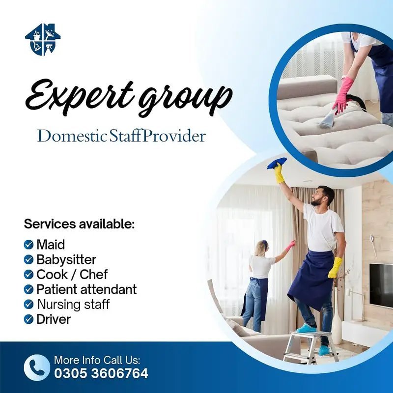 Expert Group Domestic Services
