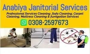 Sofa Cleaning & Carpet Cleaning