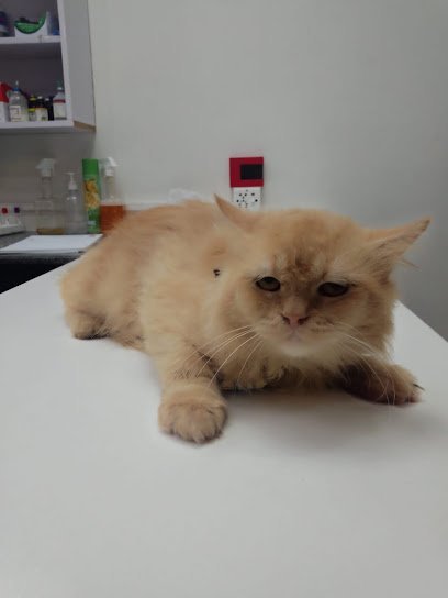 South Lane Animal Hospital