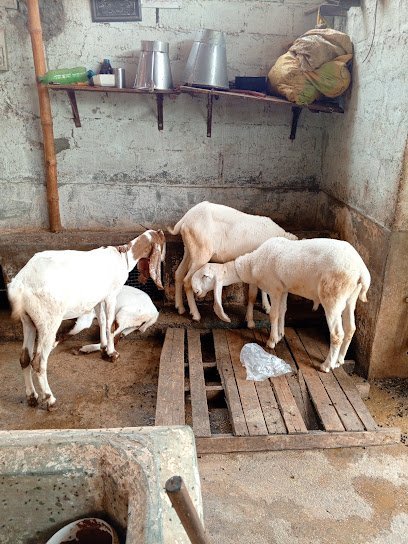 Dr. Mohib Animal Hospital Home Service