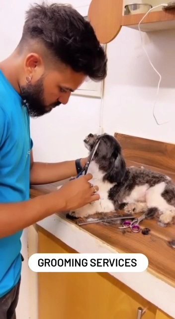 Pets Care N Cure