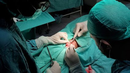 Dr. Aisha'S Health Vision Hospital