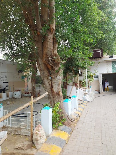Medicine Ward 7 Jpmc