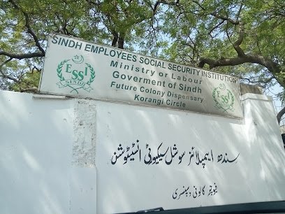 Sindh Employees Social Security Institution