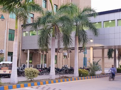 Dow O.T Complex