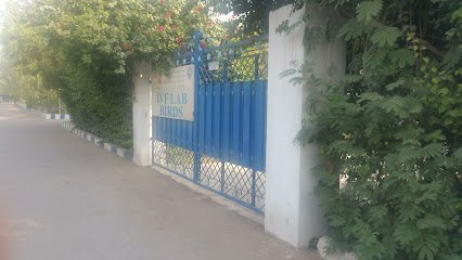 Ivf Lab Birth