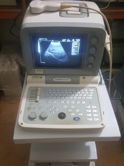 Pakistan Institute Of Ultrasound In Medicine