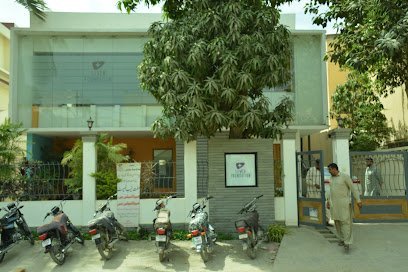 The Liver Foundation