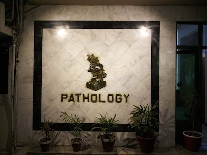 Department Of Pathology Pns Shifa