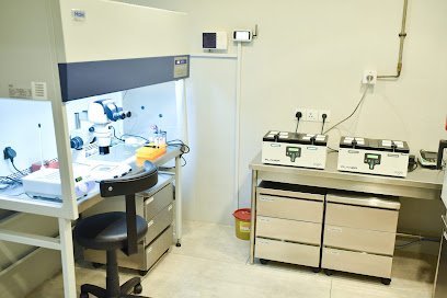 The Fertility Clinic By Setna