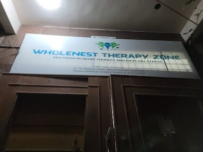 Wholenest Therapy Zone