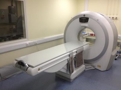 One Step Diagnostic
