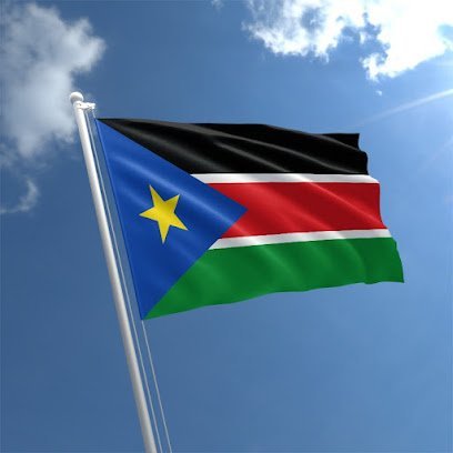 South Sudan Honorary Consul General