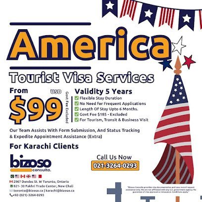 Bizoso Consulta