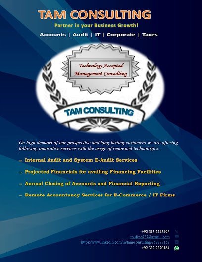 Tam Consulting Service