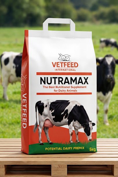 Vet Feed International
