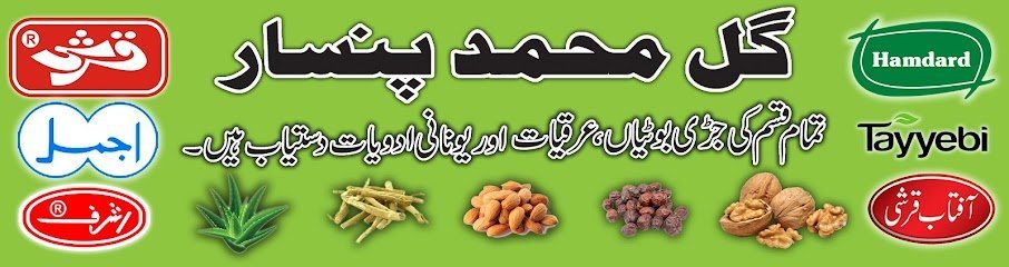 Gul Muhammad Pansaar Store