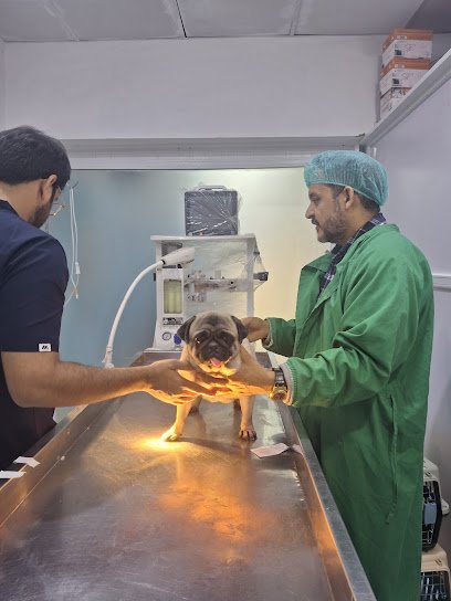 Animal Medical Centre Dr M. Ali Ayaz