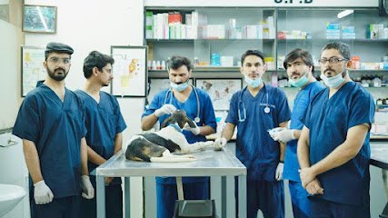 Rpk Critter Care & Animal Hospital