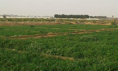 Marvi Pharma