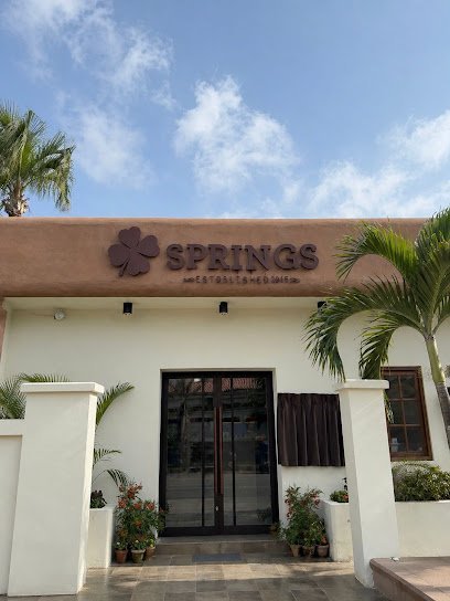 Springs Store