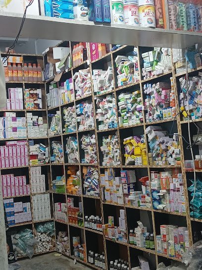 Rajput Medical Store