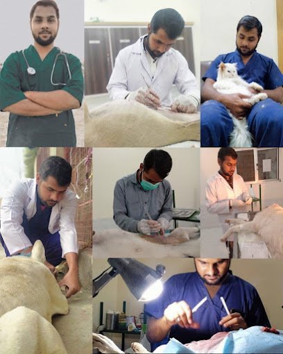 Pet Mania Veterinary Clinic & Store