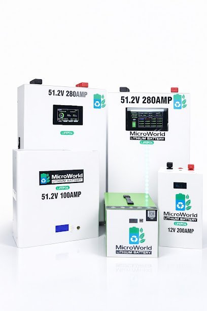 Microworld Lithium Battery