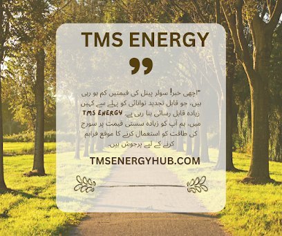 Tms Energy
