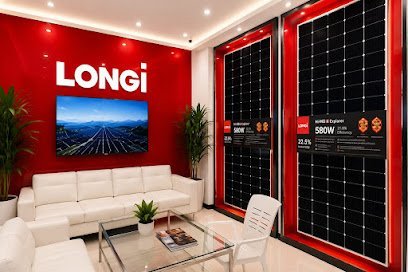 Longi Solar Offcial Distributor Scheme 33