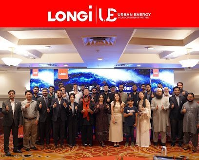 Longi Solar Pakistan (Authorized Distributor)