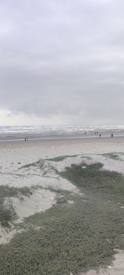 Sea View Garden