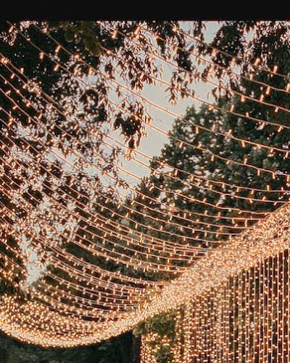 Cantt Majestic Lawns And Event Planners
