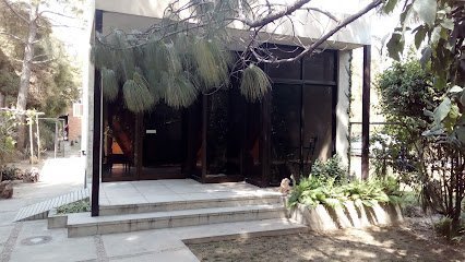 Prof. Dr. Chishti'S Clinic