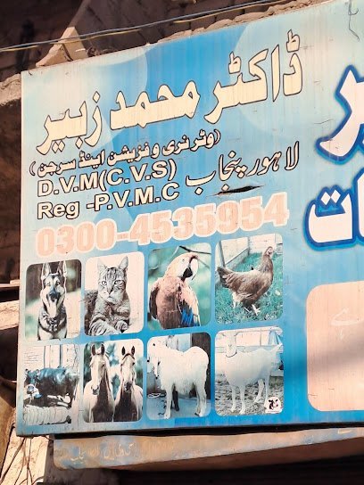 Ahmed Zubair Veterinary Clinic