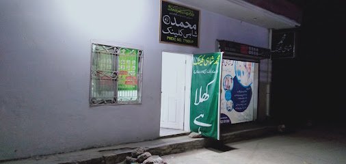 Muhammad Shahi Clinic