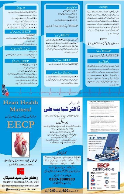 Asst. Prof. Dr. Shabahat Ali