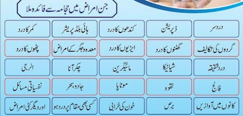 Habiba Hijama And Physiotherapy Center