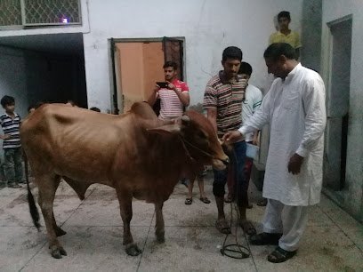 Dr Mohammed Zubair Veterinary Clinic