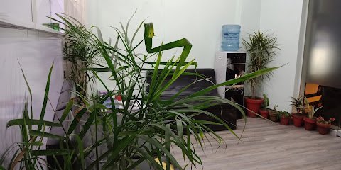Family Dental Clinic