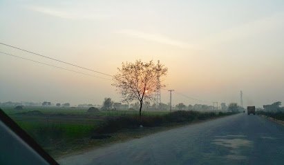 T Aabpara