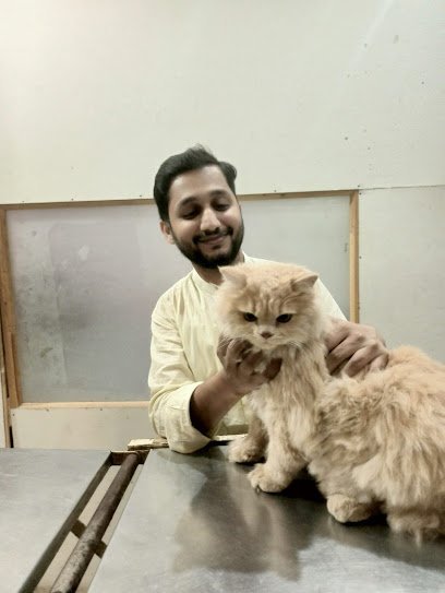 The Pet Doctor