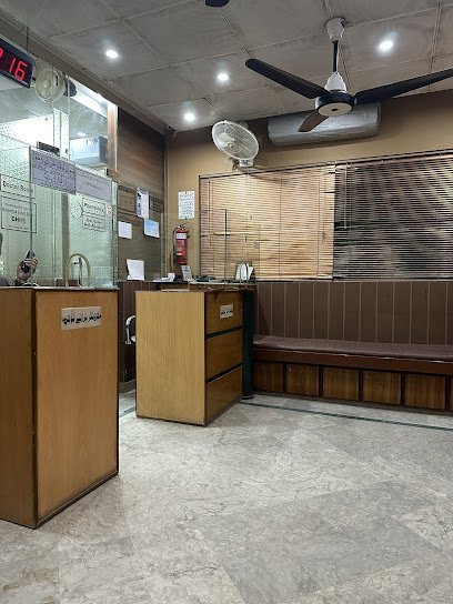 Babri Homeopathic Clinic