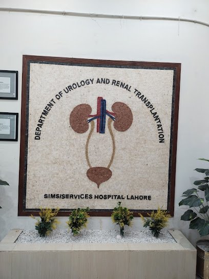 Department Of Urology And Renal Transplantation