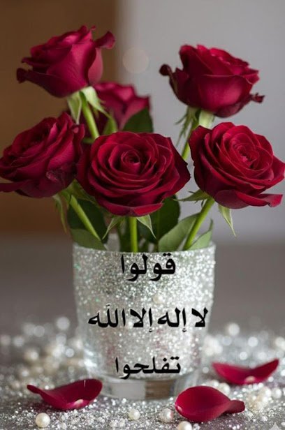 Dr. Salman Falak - Sharif Medical City Hospital
