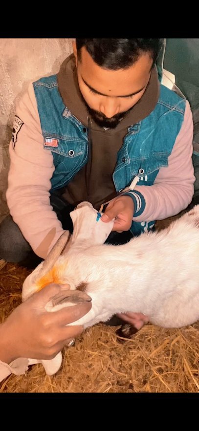 Dr Husnain Vets And Pets